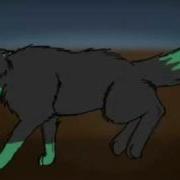 Wolf Run Cycle Test Rough