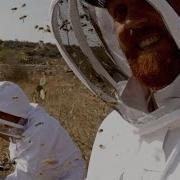 A Film Crew Unleashes 40 000 Killer Bees On Itself