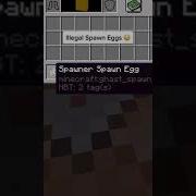 Illegal Spawn Egg Shorts