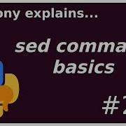 Sed Command Basics Beginner Intermediate Anthony Explains 238