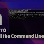 How To Install The Command Line Tools And Fix Xcrun Errors