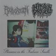 Bowel Erosion Hit Run Drivers Pleasures In The Foulness Smells Split CD Full EP