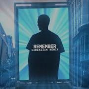 Friction Remember Circadian Remix