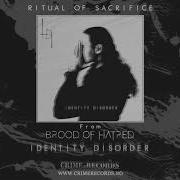 Brood Of Hatred Ritual Of Sacrifice Official Audio