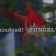 Braindead YUNGBLUD Lyrics