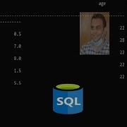 How To Execute Query Using Command Prompt In SQL Server Database