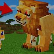 From Baby To Cat King In Minecraft