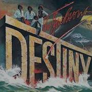 The Jacksons Shake Your Body Down To The Ground Instrumental