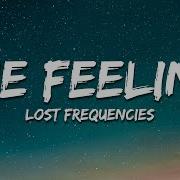 Lost Frequencies The Feeling Lyrics
