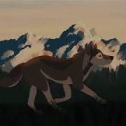 Wolf Run Cycle 2018