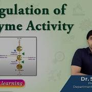 86 Regulation Of Enzyme Activity