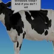 Cow Error 204