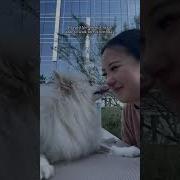 Nimbus Beats His Paralysis