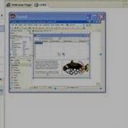 Delphi Programming Tutorial 28 Using Adobe Flash Animations Within Delphi
