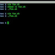 Functions In BASH Linux
