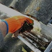 Common Gutter Problems