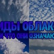 Виды Облаков И Что Они Означают