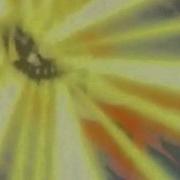 One Piece Power Rangers AMV Hell 5