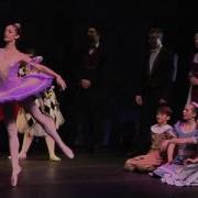 Bayside Ballet S Nutcracker Excerpt Recorded November 28 2015