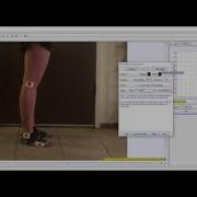 Lab 6 Tracker Tutorial 2 Point Of Mass