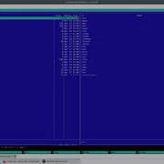 The Gods Must Be Crazy FreeBSD Debian Linux Jail Vnet IPv6 Remote Access Via Ssh