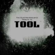 Stinkfist Mer The Electro Acoustic Tribute To Tool