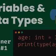 Объяснение переменных в Python от нуля до мастера Int Float String Boolean приведение типов