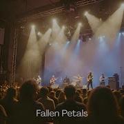 Fallen Petals