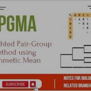 Метод UPGMA