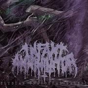 Infant Annihilator Blasphemian Drum Only