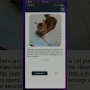 A Flutter App That Fetche Interesting Cat Facts Using Hive DB Freezed BLoC Retrofit And Dio