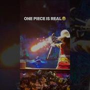 INSANE One Piece Show At Universal Studios Hollywood Shorts Onepiece