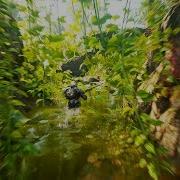 Unified Interactive Physical Foliage UE4 Plugin Out Now