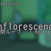 Inflorescence 1時間ループ 1 Hour Loop FNF MOD Vs Impostor