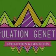 Population Genetics When Darwin Met Mendel Crash Course Biology 18