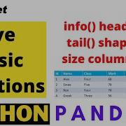 Five Important Basic Pandas DataFrame Functions Info Head Tail Shape Size Ndim Columns