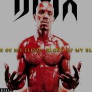 DMX Bring Your Whole Crew