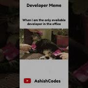 Programming Meme Part 23 Shorts Memes Programming Developer