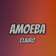 Clairo Amoeba Lyrics