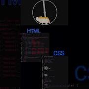 Cute Mouse Animation Html Css New Song Pop Coding Shorts