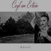 CEYLAN ERTEM GÖKHAN TÜRKMEN GÖNÜL