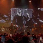 11 Стая DDT Dublin 2025 Live ДДТ Дублин 2025 Live