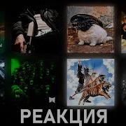 Реакция на Lida Странные танцы YASMI мовалола Lover ТУР и др 185