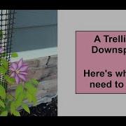 Introducing A Trellis That S Custom Designed For Downspouts To Support Climbing Plants Clematis