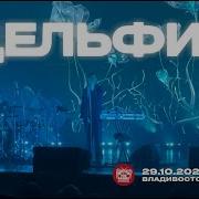 Дельфин Моя Live Владивосток 29 10 2025