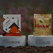 EQUAJE ZIMOBOR ГУЛЛАР СОҒЛОМ ВА БАҚУВВАТ БЎЛАДИ
