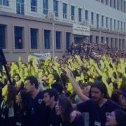 Zeynep Casalini Duvar Canlı Performans