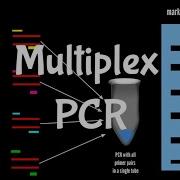 Multiplex PCR
