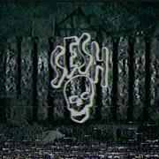 Bones LowerThanLow CHOPPED