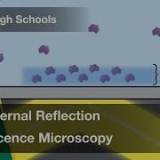 Total Internal Reflection Fluorescence Microscopy Cell Bio Video Textbooks Preview